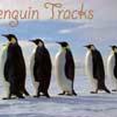 Interview: KOPN Penguin Tracks